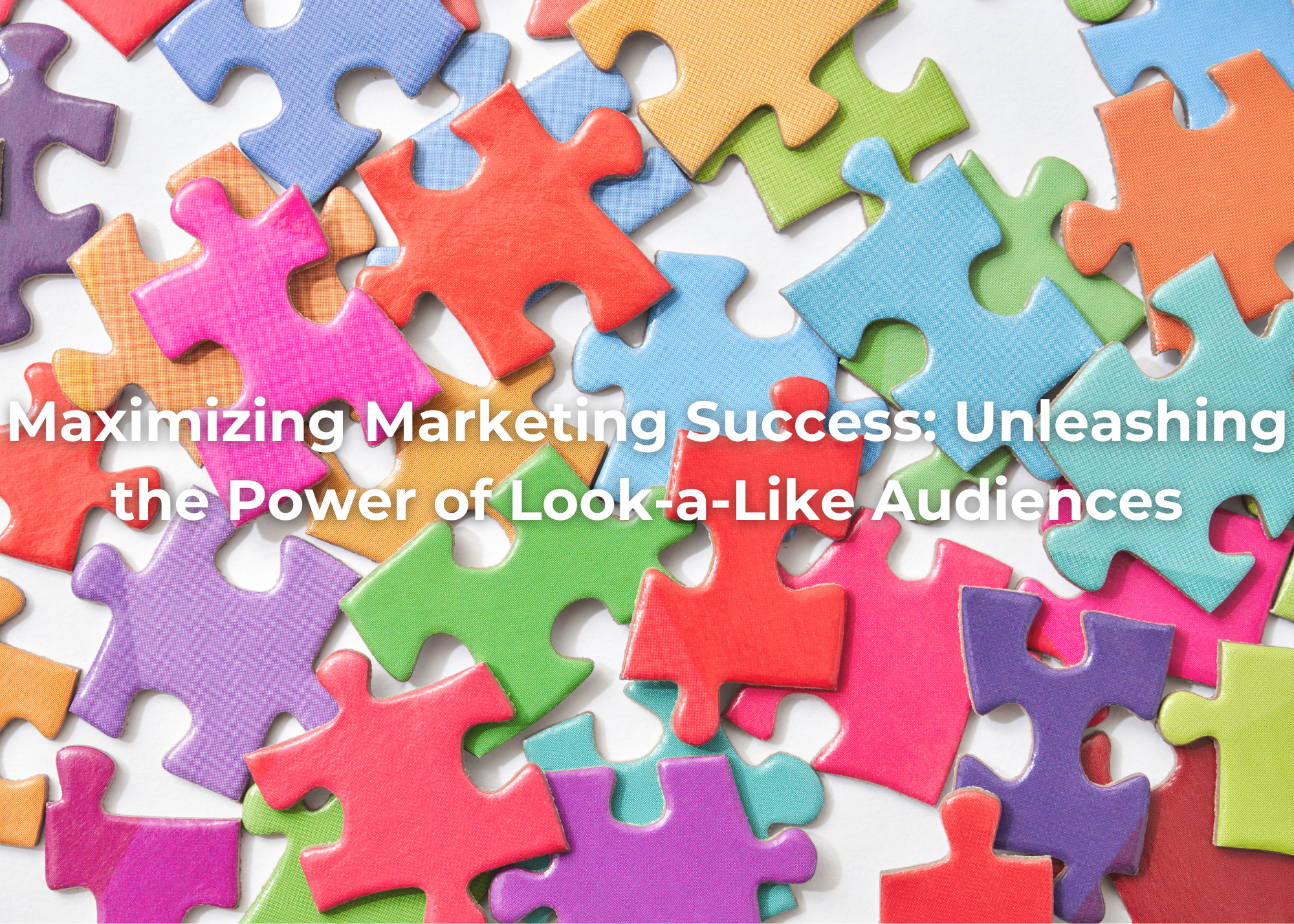 Maximizing Marketing Success: Unleashing the Power of Look-a-Like Audiences