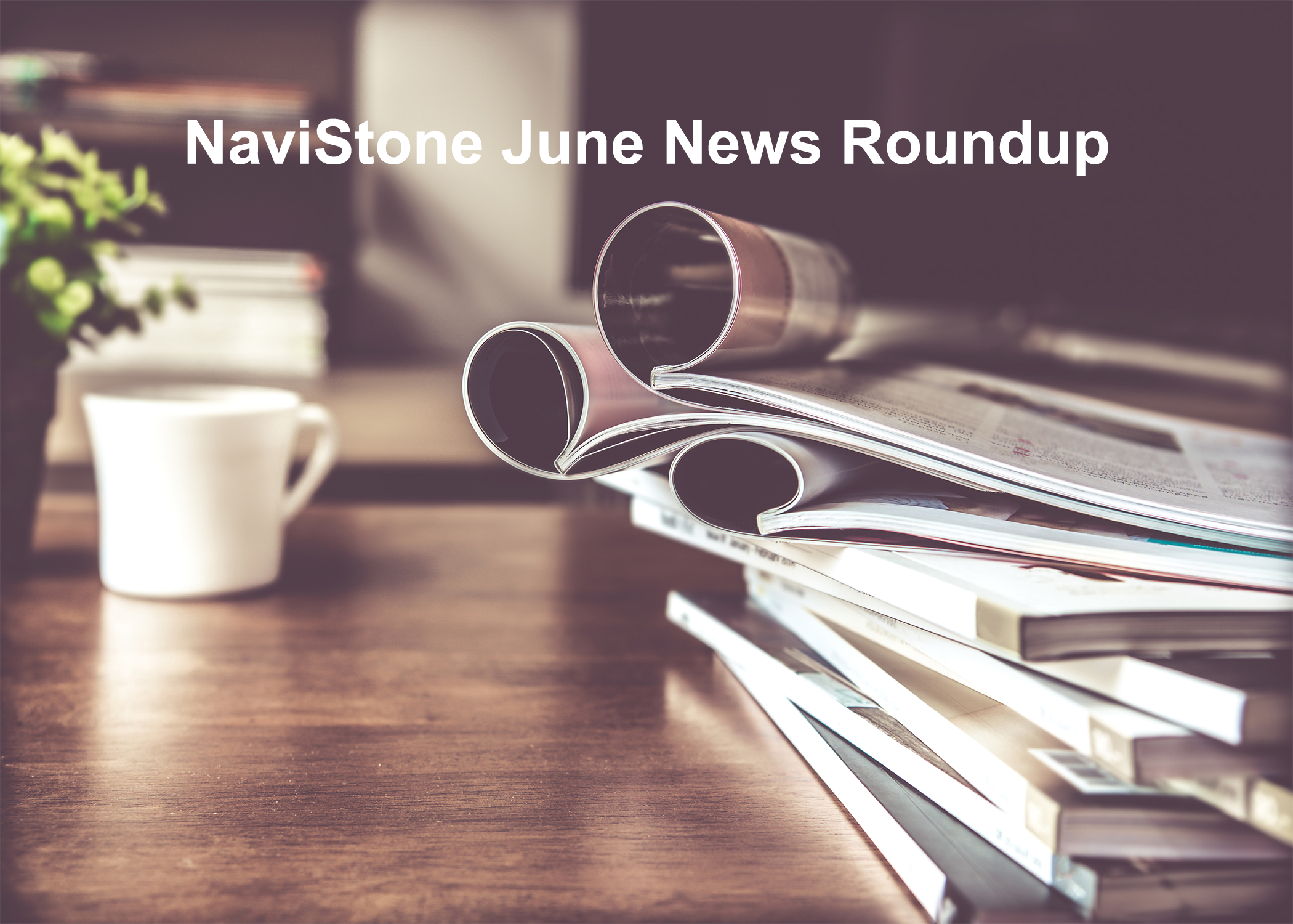 NaviStone June News Roundup 2020